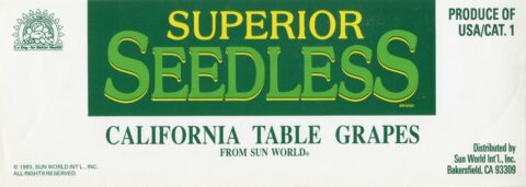 Superior Seedless